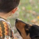 Maringa-tera-‘pet-servidor-publico-para-atender-criancas-autistas Maringa-tera-‘pet-servidor-publico-para-atender-criancas-autistas