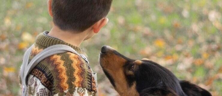 Maringa-tera-‘pet-servidor-publico-para-atender-criancas-autistas Maringa-tera-‘pet-servidor-publico-para-atender-criancas-autistas